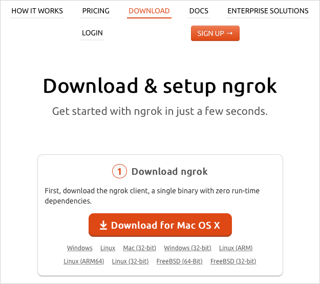 ngrok Plex Server Image 2