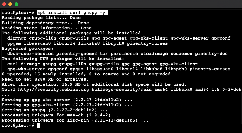 Plex in Proxmox LXC Container - Image 18