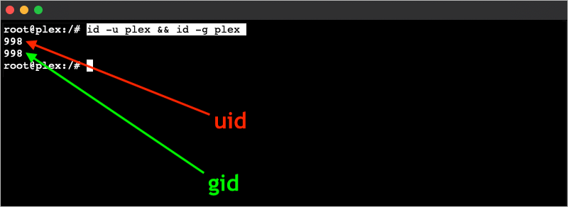 Plex in Proxmox LXC Container - Image 38